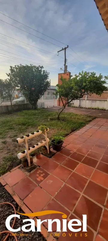 Cidreira